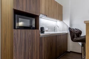 Апарт-отель Barasport city apartments. Апартаменты двухместный DeLuxe Bronze Style с барной стойкой 5