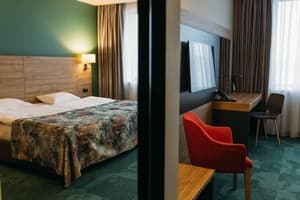 Отель Favor Park Hotel. Бизнес двухместный  1